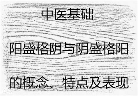 陰盛格陽|陰盛格陽 中医学用語解説